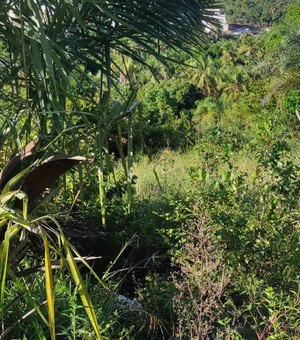 Mecânico é encontrado morto em matagal de Maragogi