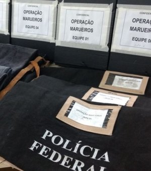 Servidor público é preso por emitir certificados falsos em escola de Campo Alegre