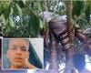 Menor de idade é assassinado enquanto colhia frutas em árvore no Interior de AL