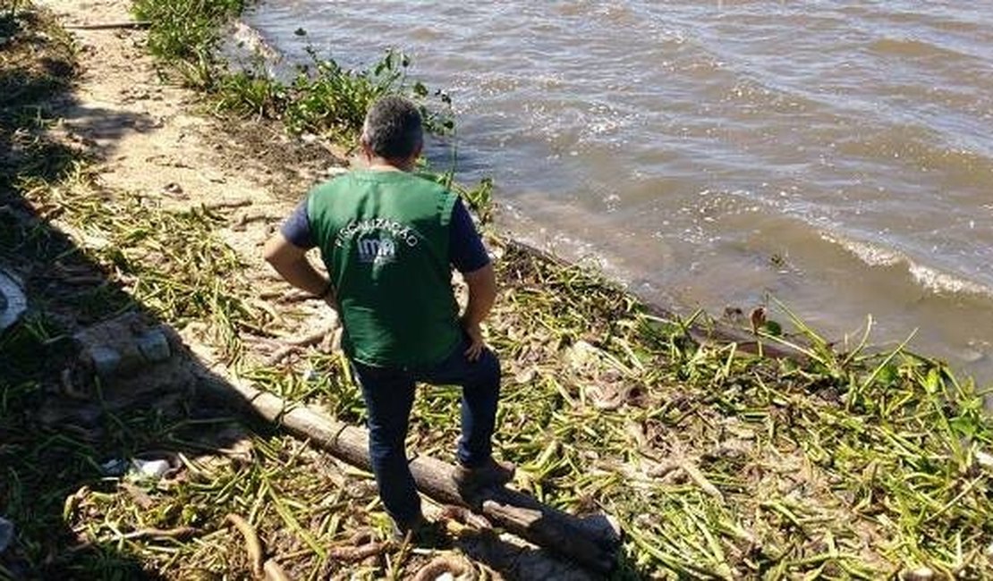 IMA investiga morte de peixes em Coqueiro Seco