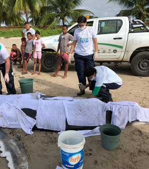 Filhote de baleia jubarte é encontrado morto na Praia de Ipioca