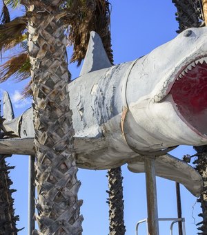 Réplica gigante do protagonista de 'Tubarão' é instalada em Museu do Oscar, nos EUA