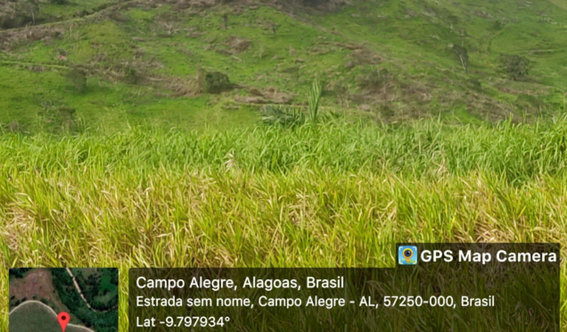 Usina é acusada de invasão de terras públicas e de cometer crime ambiental em Campo Alegre
