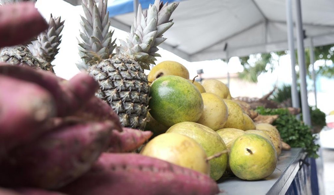 Programa de Aquisição de Alimento será lançado na região do Agreste nesta quinta
