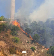 [Vídeo] Vegetação pega fogo próximo a torre de telefone em Maragogi