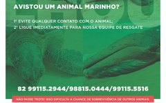 Instituto Biota inicia campanha de conscientização sobre animais encalhados