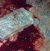 Homem é morto a pedradas em Luziápolis na cidade de Campo Alegre