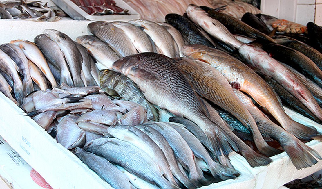 MP investiga fraude na aquisição de peixes para a população de Santana do Ipanema
