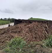 Caminhão carregado de cana-de-açúcar tomba em Porto Calvo