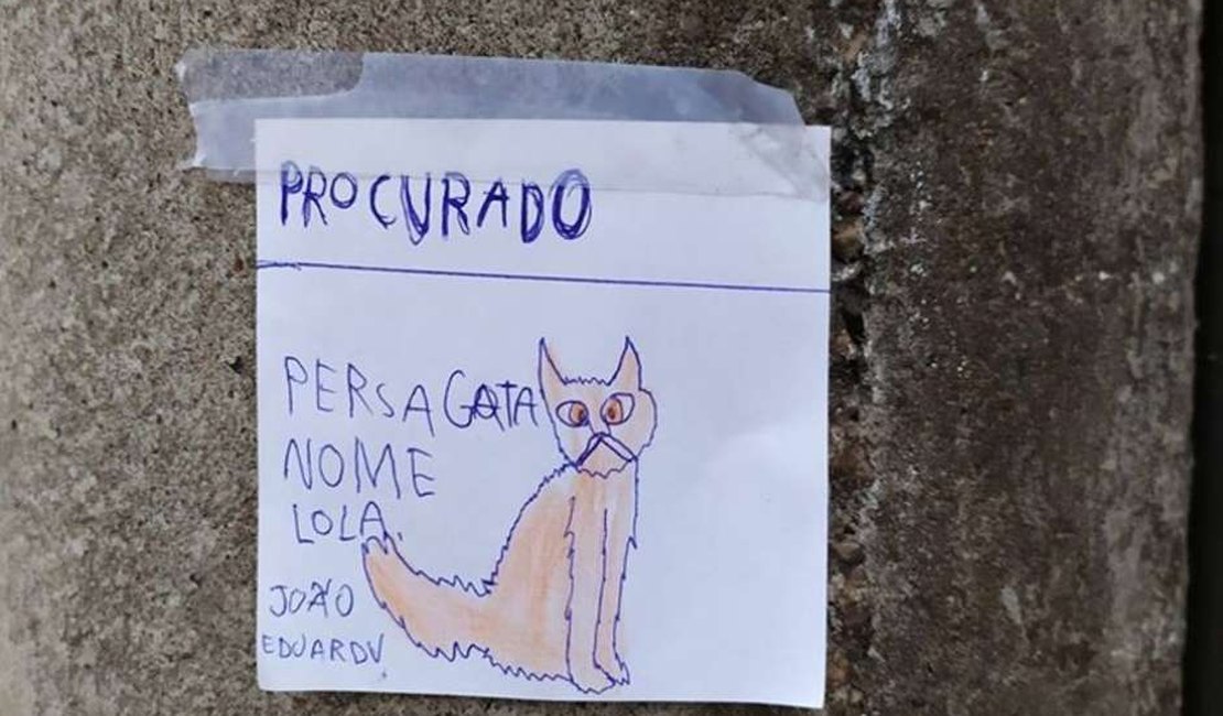 Menino desenha gata que fugiu e espalha 'cartazes' para encontrá-la
