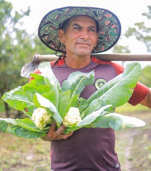 Prefeitura de Arapiraca vai investir R$ 2,9 milhões e ampliar em 150% a compra de produtos agrícolas