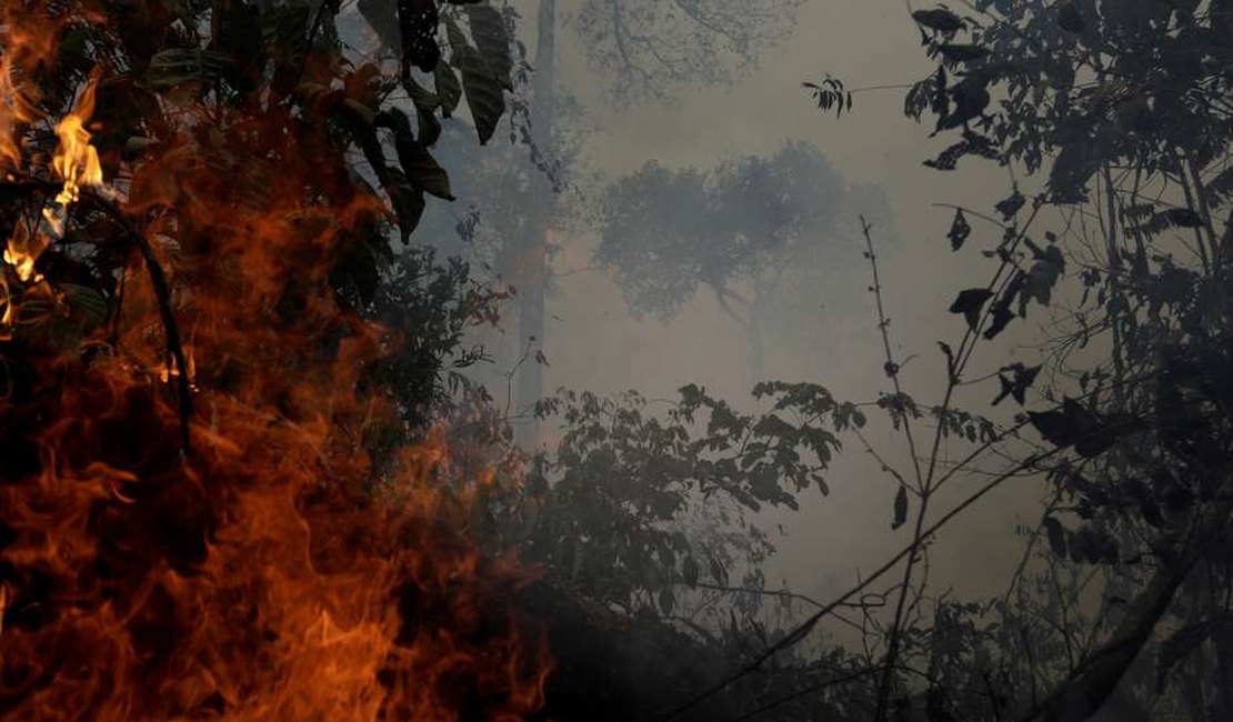 Desmatamento na Amazônia em agosto cresce 222% em relação ao mesmo mês de 2018