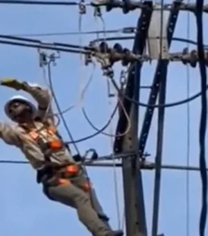 Bicho-preguiça escala poste e se pendura em fios elétricos na Colômbia
