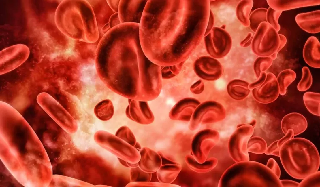 12 curiosidades sobre o sangue que você talvez não conheça