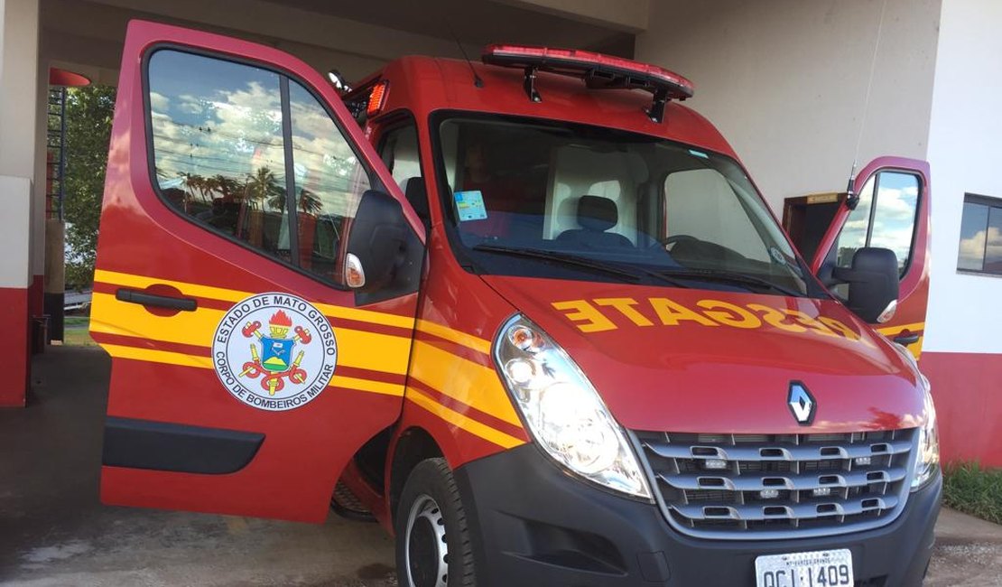 Aranha é resgatada de sala de aula em Santana de Ipanema