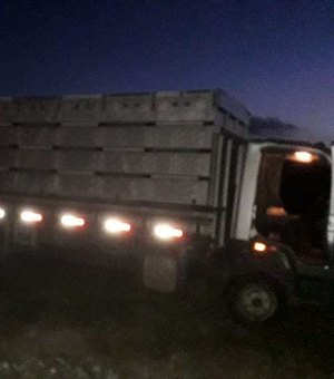 PM impede roubo de 14 cabeças de gado em Lagarto, em Sergipe 