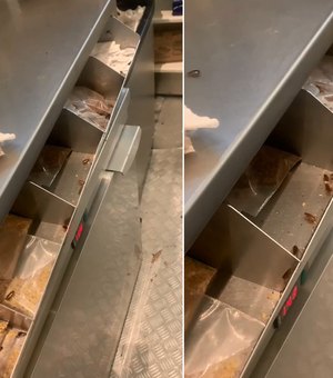 Vídeo mostra baratas dentro de quiosque de sorvetes em shopping de Teresina