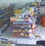 Cadela é flagrada 'furtando' pão em mercearia, no interior do Paraná
