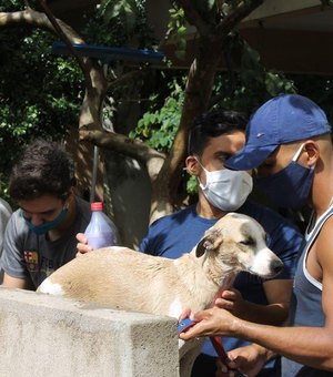 Abrigo São Cão promove feira de adoção em Maceió neste sábado (07)