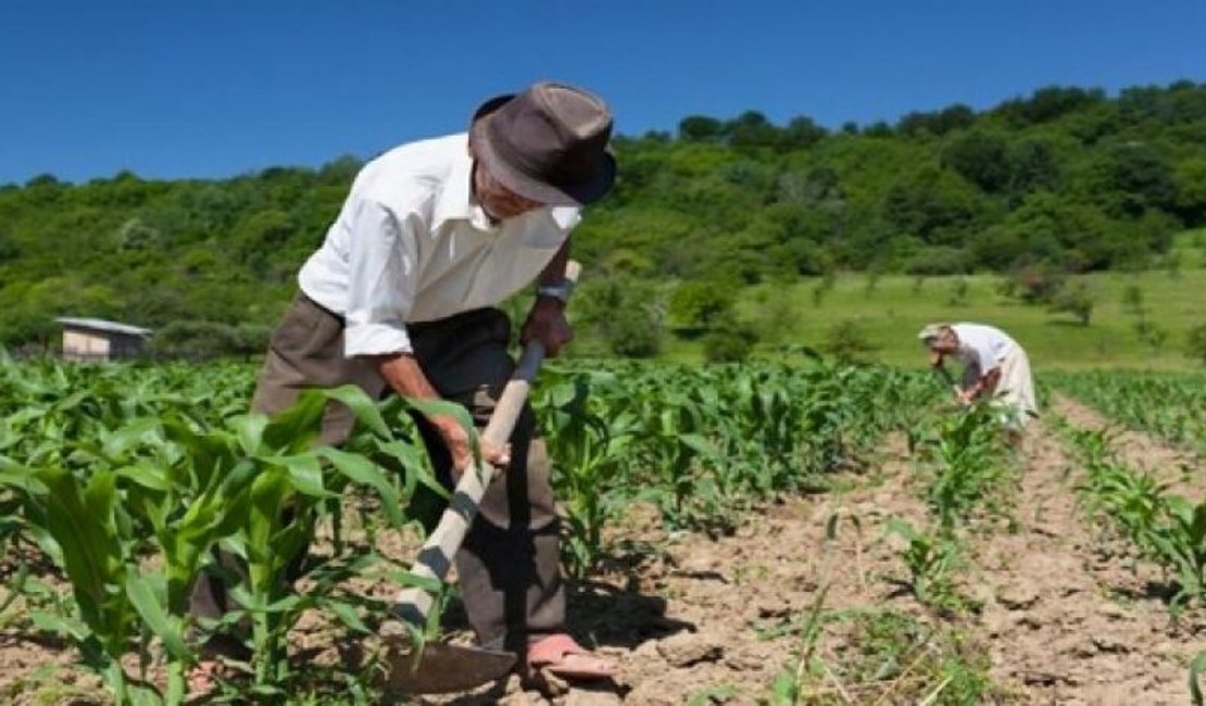Agricultores de Arapiraca e região vão receber kits para irrigação