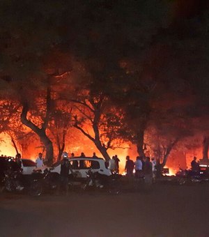 [Vídeo] Incêndio de grandes proporções é registrado em Palmeira dos Índios