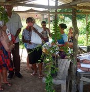 Programa Planta Alagoas consegue entregar sementes em todos os municípios