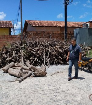 Condomínio em Maceió é autuado pela prefeitura por crime ambiental