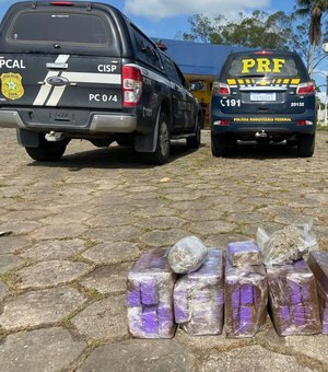 Polícia apreende 30kg de maconha durante operação em São Sebastião