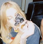 Luísa Sonza mostra nova cachorrinha: 'Britney Spinschers'