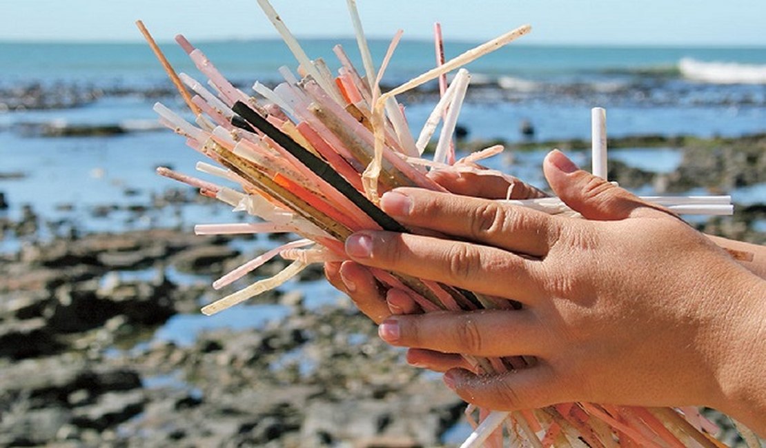 Maceió pode ser a próxima cidade a banir canudos de plástico