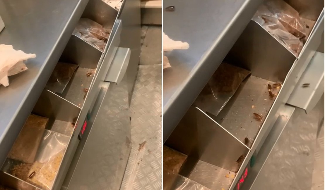 Vídeo mostra baratas dentro de quiosque de sorvetes em shopping de Teresina
