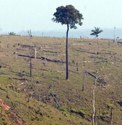 Com alta no desmatamento, governo demite chefe de monitoramento do Inpe