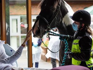 Mulher em estado terminal recebe visita inesperada dos seus animais