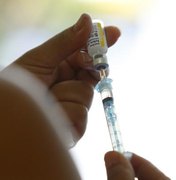 Pernambuco tem primeira paciente investigada por febre amarela