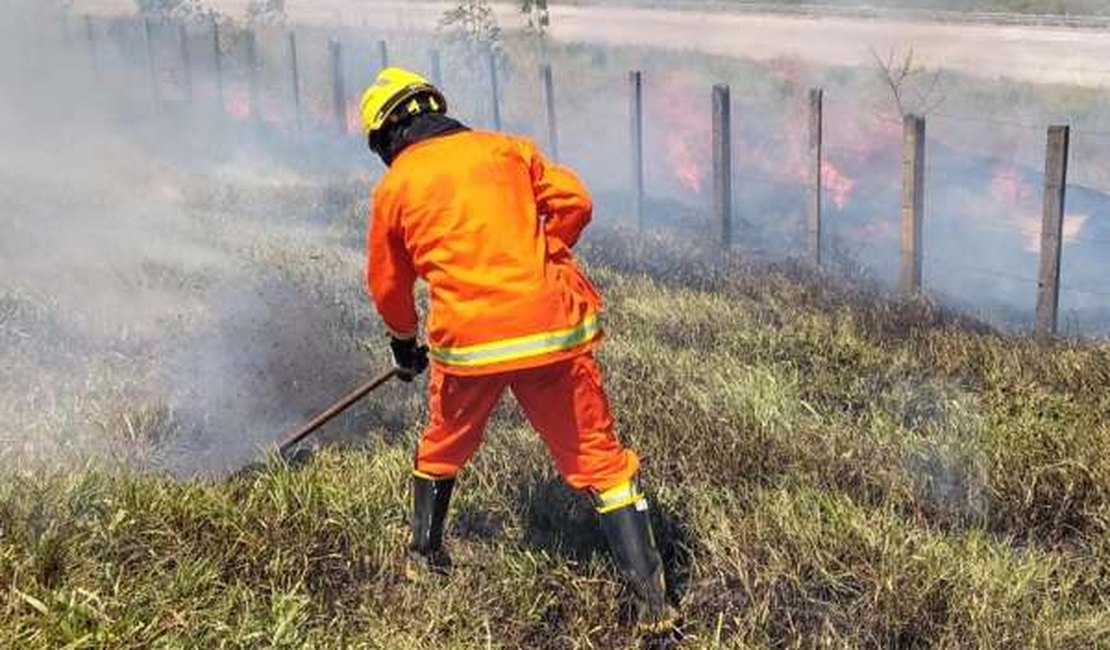 Corpo de Bombeiros é acionado para incêndio em vegetação em Arapiraca