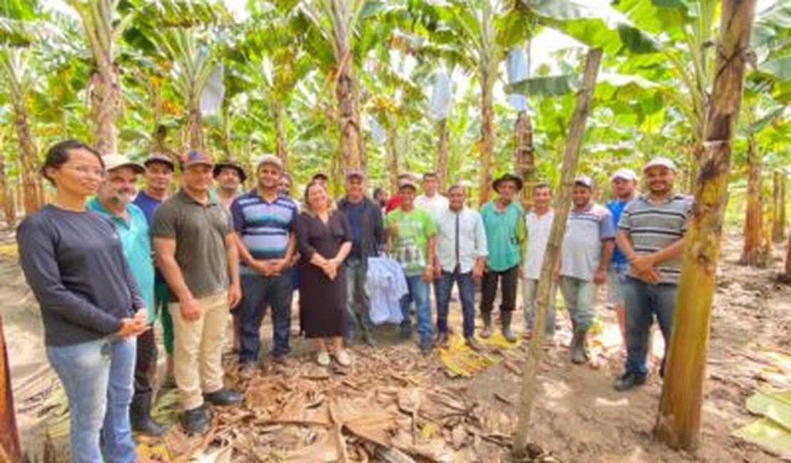 Prefeitura de Porto Calvo em parceria com SENAR leva novas técnicas agrícolas para os produtores de bananas