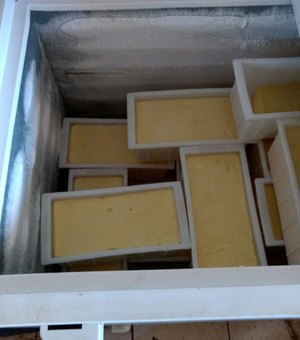 Fiscalização apreende uma tonelada de queijo e flagra laticínio com diversas irregularidades