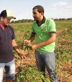 Prefeitura disponibiliza técnicos agrícolas para monitoramento do plantio em Lagoa da Canoa