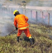 Incêndio em vegetação se espalha e atinge barraco em Maceió