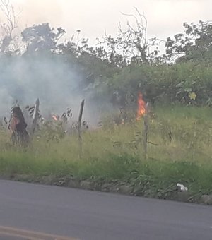 Em oito horas, cidades alagoanas registram sete incêndios em vegetação