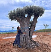 Giovanna Ewbank mostra árvore de 300 anos que ganhou de Natal