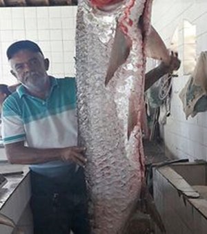 Peixe medindo 1.70 de altura é capturado no Rio São Francisco, em Piranhas