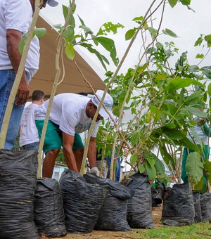 Prefeitura lança novo serviço e realiza plantio no Dia da Árvore