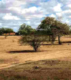 Governo Federal reconhece situação de emergência em consequência da seca em Santana do Ipanema
