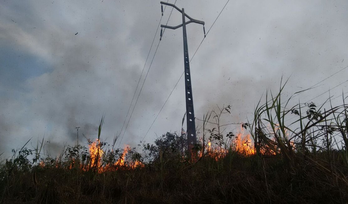 Número de focos de queimada em Alagoas este ano já ultrapassam os de 2020