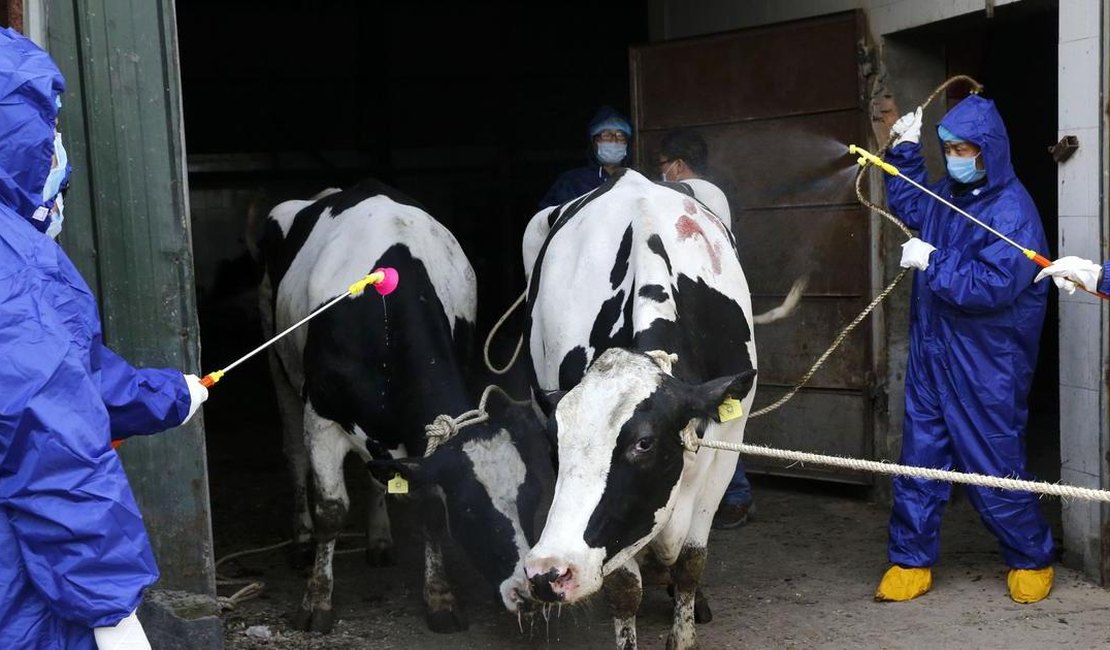 Bactéria vazada de laboratório contamina mais de 3 mil pessoas