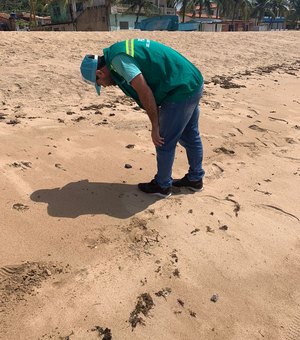 Manchas de óleo aparecem nas praias de Japaratinga