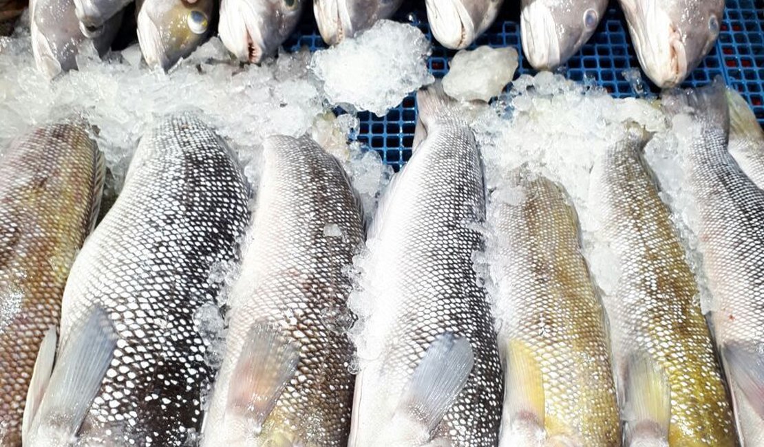 Aprenda a escolher peixes e frutos do mar para a Sexta-feira Santa