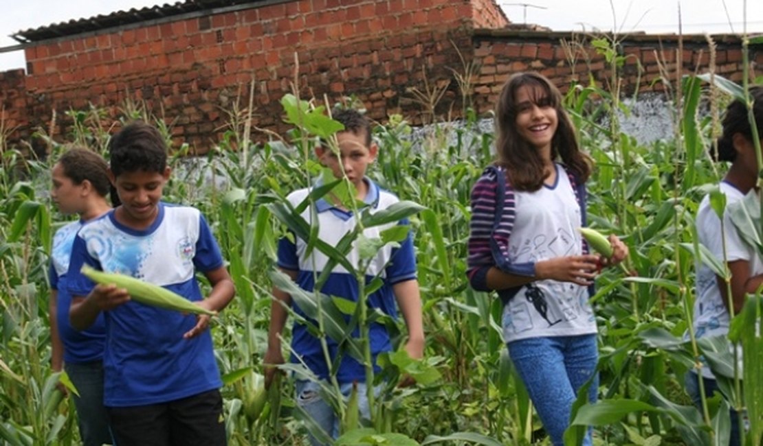 Plantio da Escola Estadual Teotônio Vilela garante novas oportunidades sociais