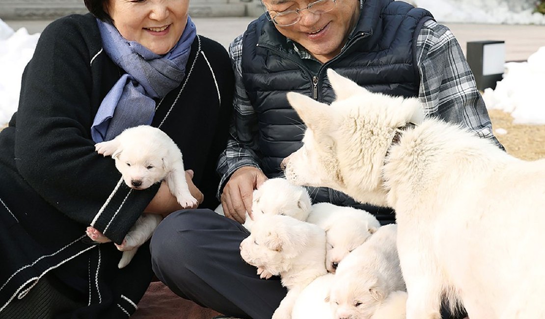 Presidente da Coreia do Sul apresenta filhotes dos cães que ganhou de Kim Jong-un